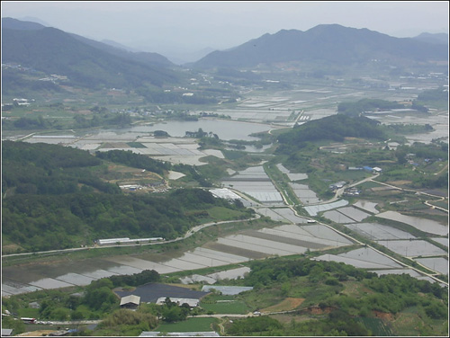 봉화산에서 바라본 아영면 일대의 논들. 저 뒤의 골짜기 넘어가 함양 가는 길. 